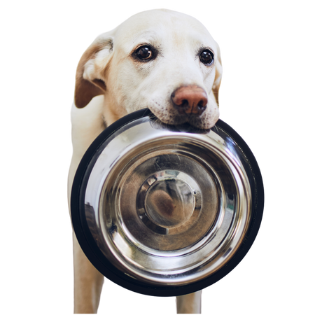 Acessórios de alimentação